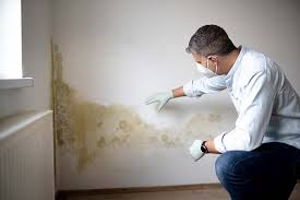 Reliable Glenpool, OK Mold Inspection Solutions